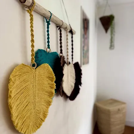 Marukichan, En El Centro De Vigo