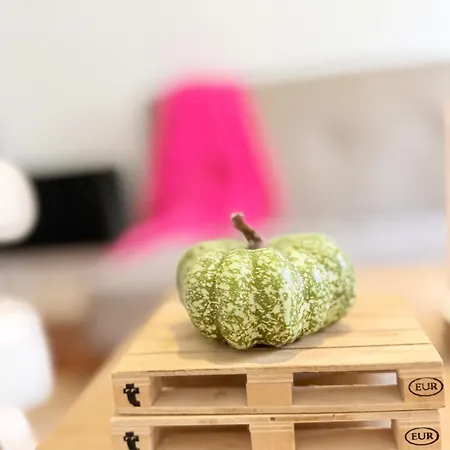 Marukichan, En El Centro De Vigo