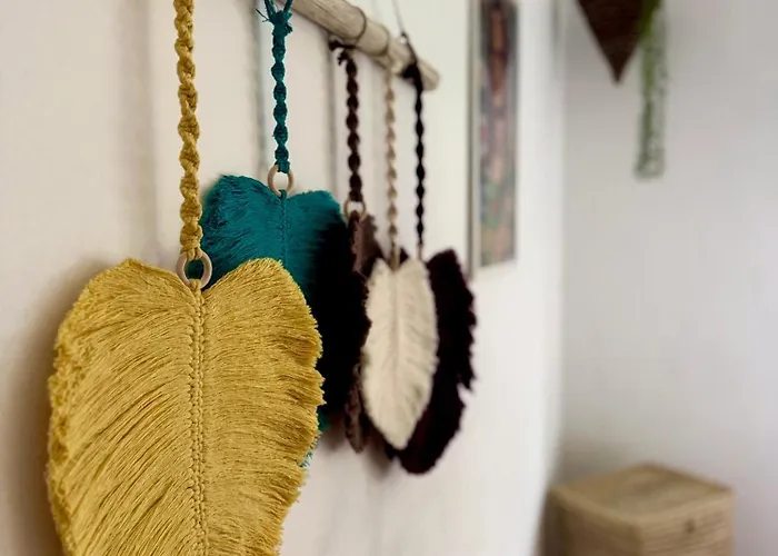 Marukichan, En El Centro De Vigo