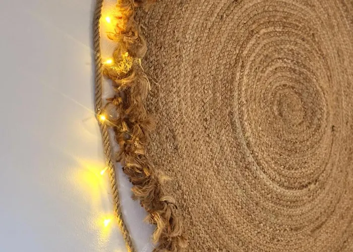 Marukichan, En El Centro De Vigo